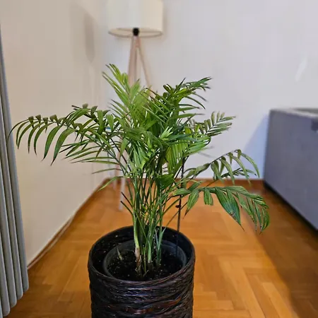 Cosy In The Heart Of The Kalamata