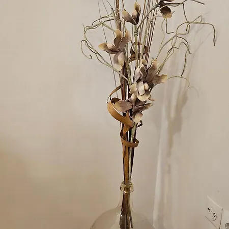 شقة Cosy In The Heart Of The كالاماتا