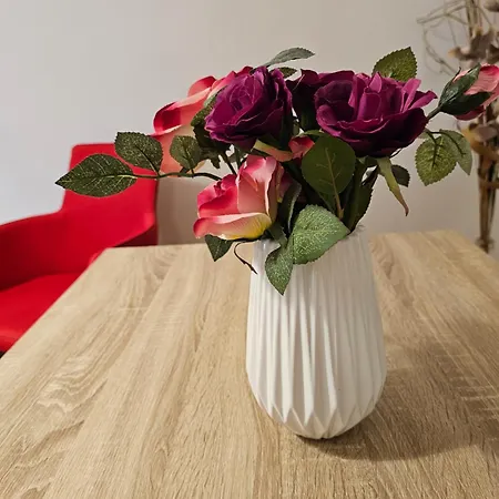 Cosy In The Heart Of The Apartment