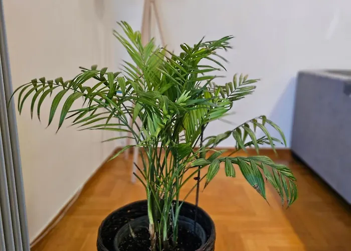 Cosy In The Heart Of The Kalamata